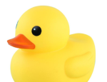Rubber duck The movies