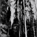 RAGETAPE
