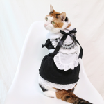 CAT MAID CULT! UwU