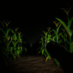CORNFIELD