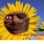 PLANT IS COOL