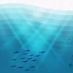 Ultimate Deep Sea Gymnastics Fan group!