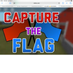 Capture the flag red vs blue fans