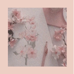 The Unknown Aesthetics