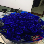 ⪡Blue Roses⪢