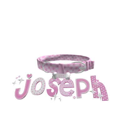 ˚ʚ♡ɞ˚ joseph collar