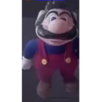 zoodoz