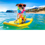 Summertim
