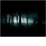 The Shadow Elves of Grá Riabhach Forest