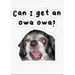 Can i get a OWA OWA?