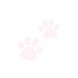 ♡ ‧˚⊹