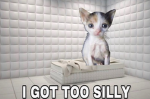 silly dev team