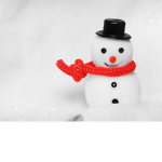 Snowman Alliance