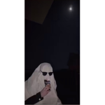 scptato247