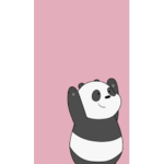 The best pandas squad