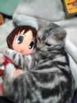 !!Torment