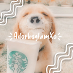 *-Adorbsglamxo-*