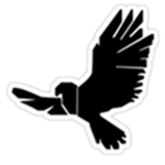 Falcon||Executive Management ||