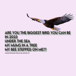 biggest*birds