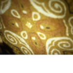 The beast Zain’s 3331 And my sister