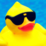 The Ducks of the world
