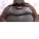 Monkey Training