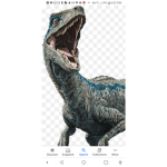 Raptor S Group