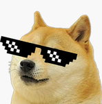 DOGES Of wonder