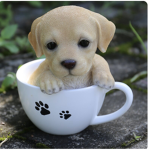 Puppy’s love