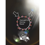 Camcat0110 Gaming Squad