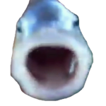 killer fish support group