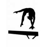 gymnast squad!!!!