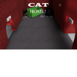 CAT HOME!