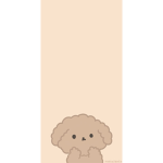 ʚ pants ɞ