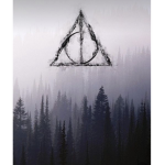 Harry Potter Amazing Club
