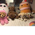 STUFFY FANS