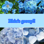Rhia’s group xox