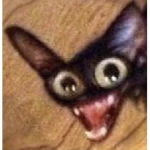 AHOJTE ROBUXS