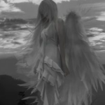 dove supremacy.