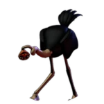 Unnamed Ostrich