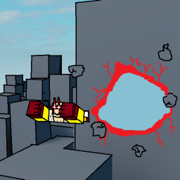 Flying experience