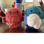 Hello Squishmallows