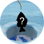 Catch your first fish!