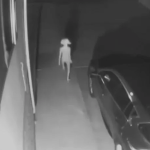 theres a masked individual at your doorstep