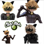 chat noir is our lord