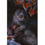 -nightclan-