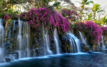 | Serenity Springs |