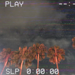 Palm Tree Springz🌴
