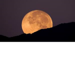 Moon_cafe
