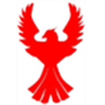 The Phoenix Legion